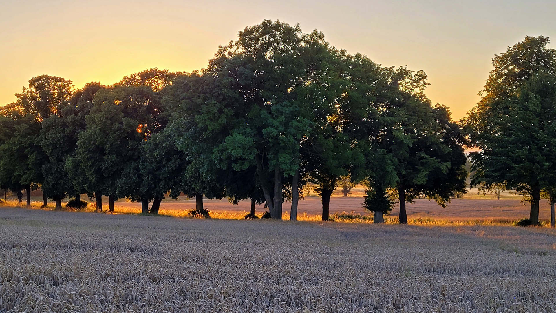 Abendstimmung