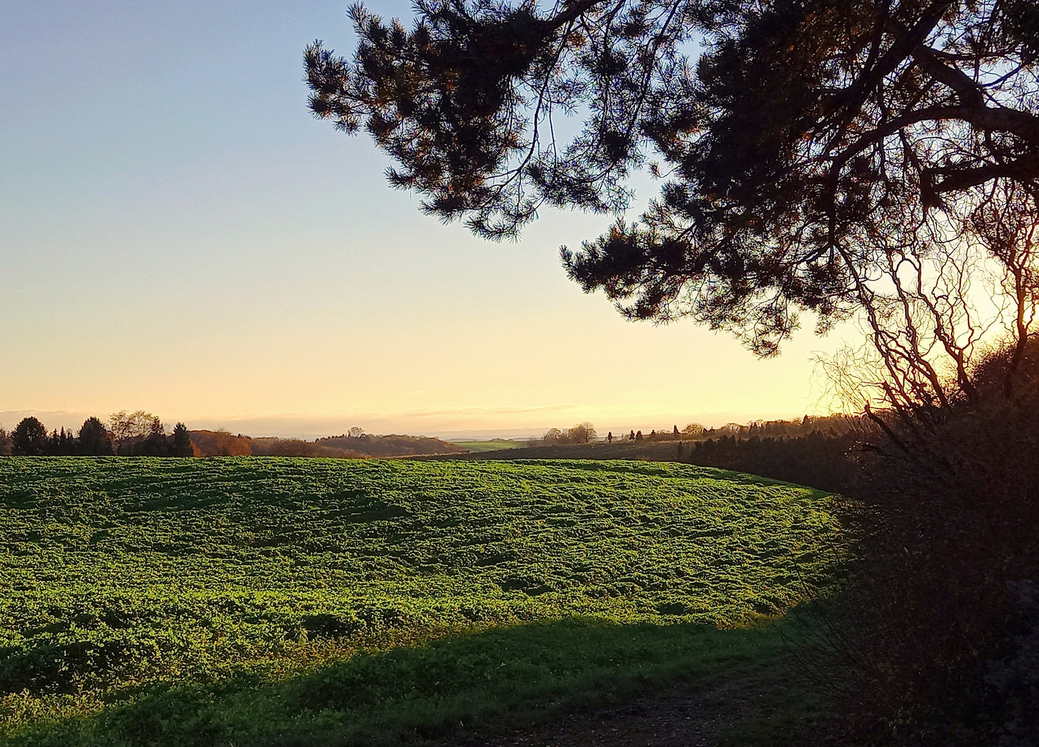 Abendstimmung