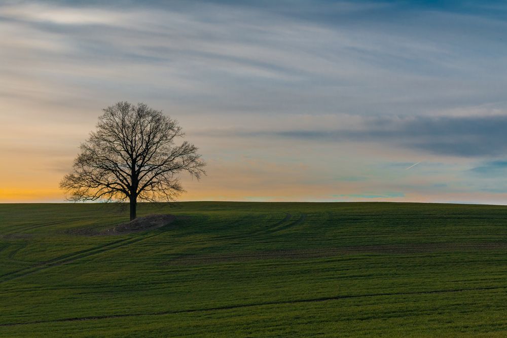 Abendstimmung