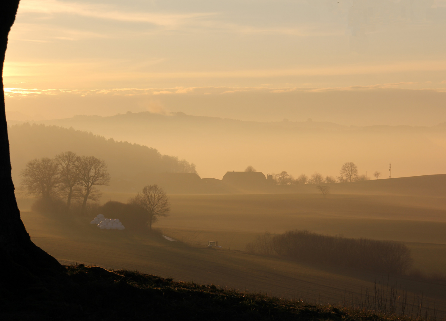 Abendstimmung