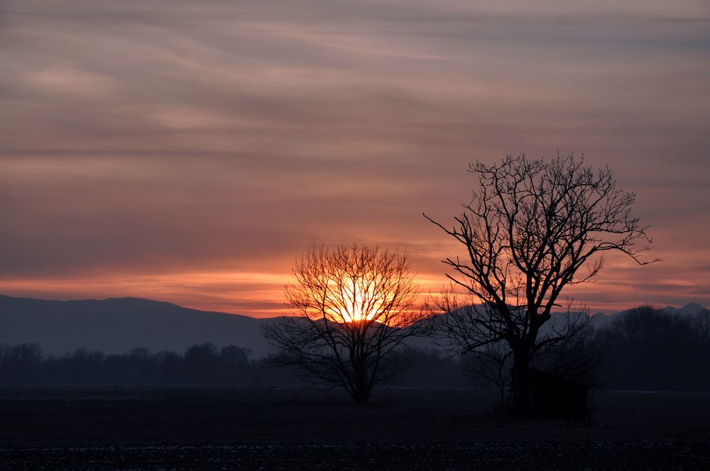 Abendstimmung von picsbySaRa 