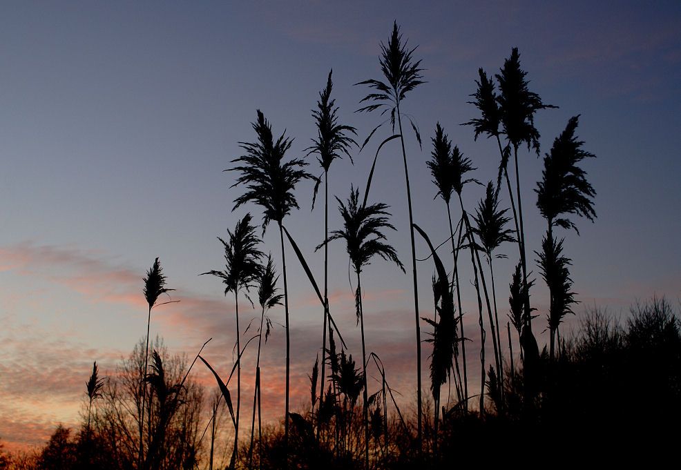 Abendstimmung 4