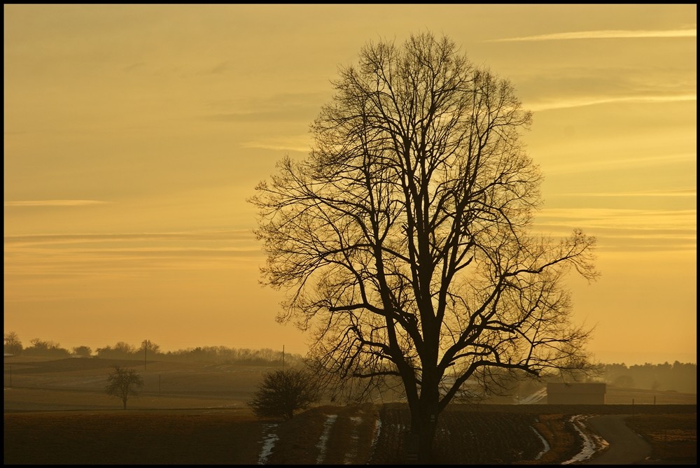 Abendstimmung !!!