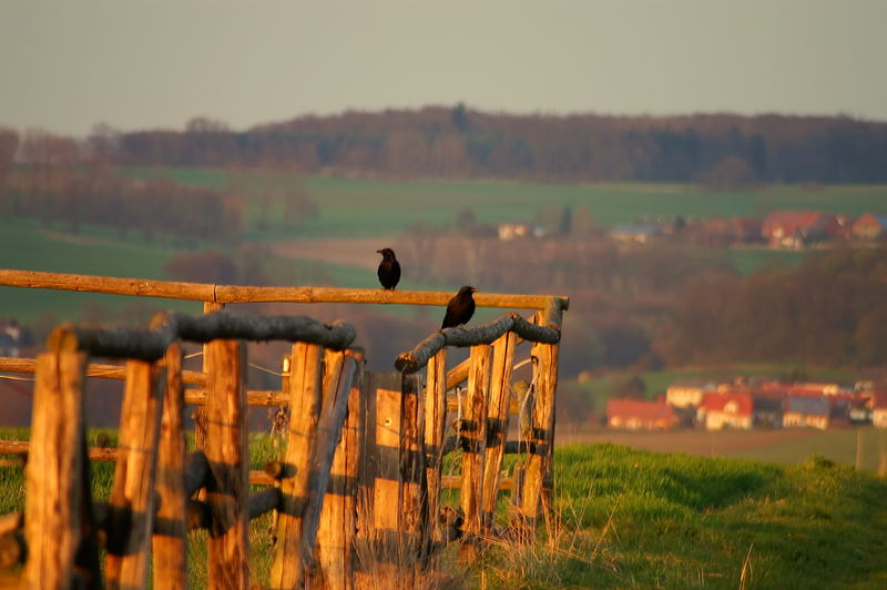 Abendstimmung