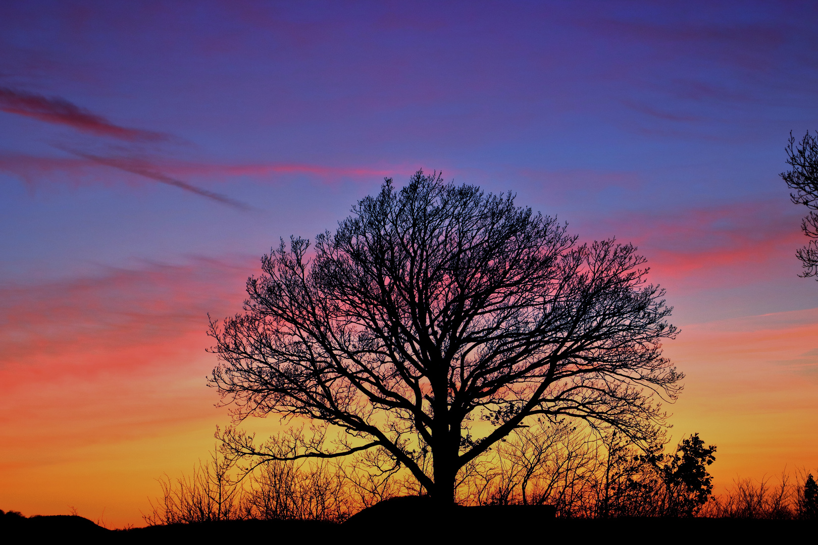 Abendstimmung