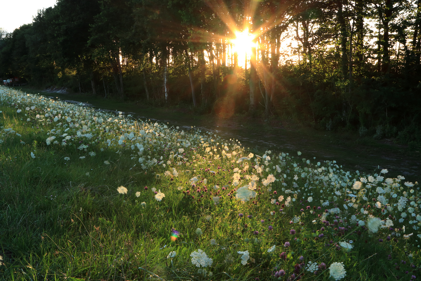 Abendstimmung