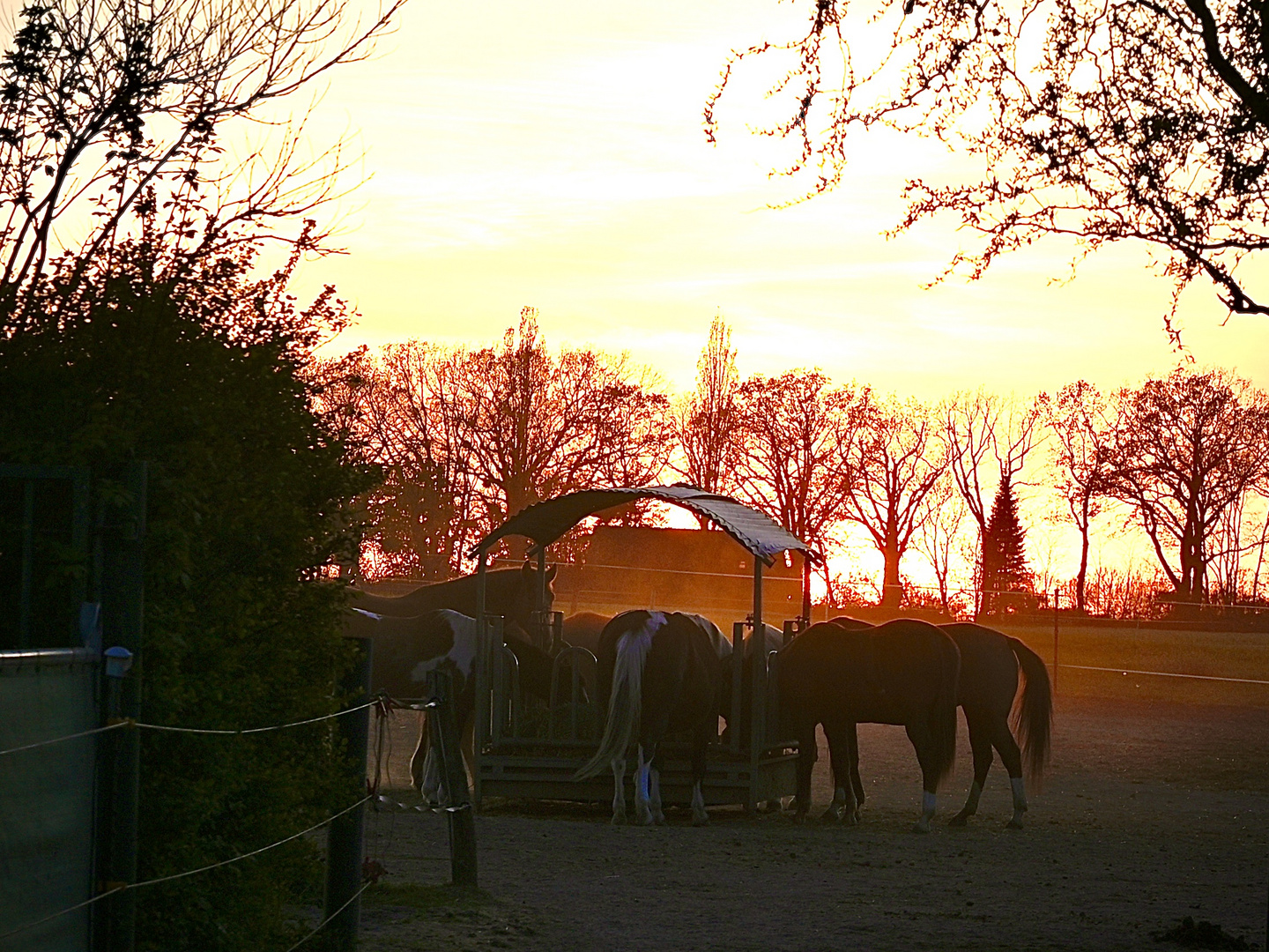 Abendstimmung