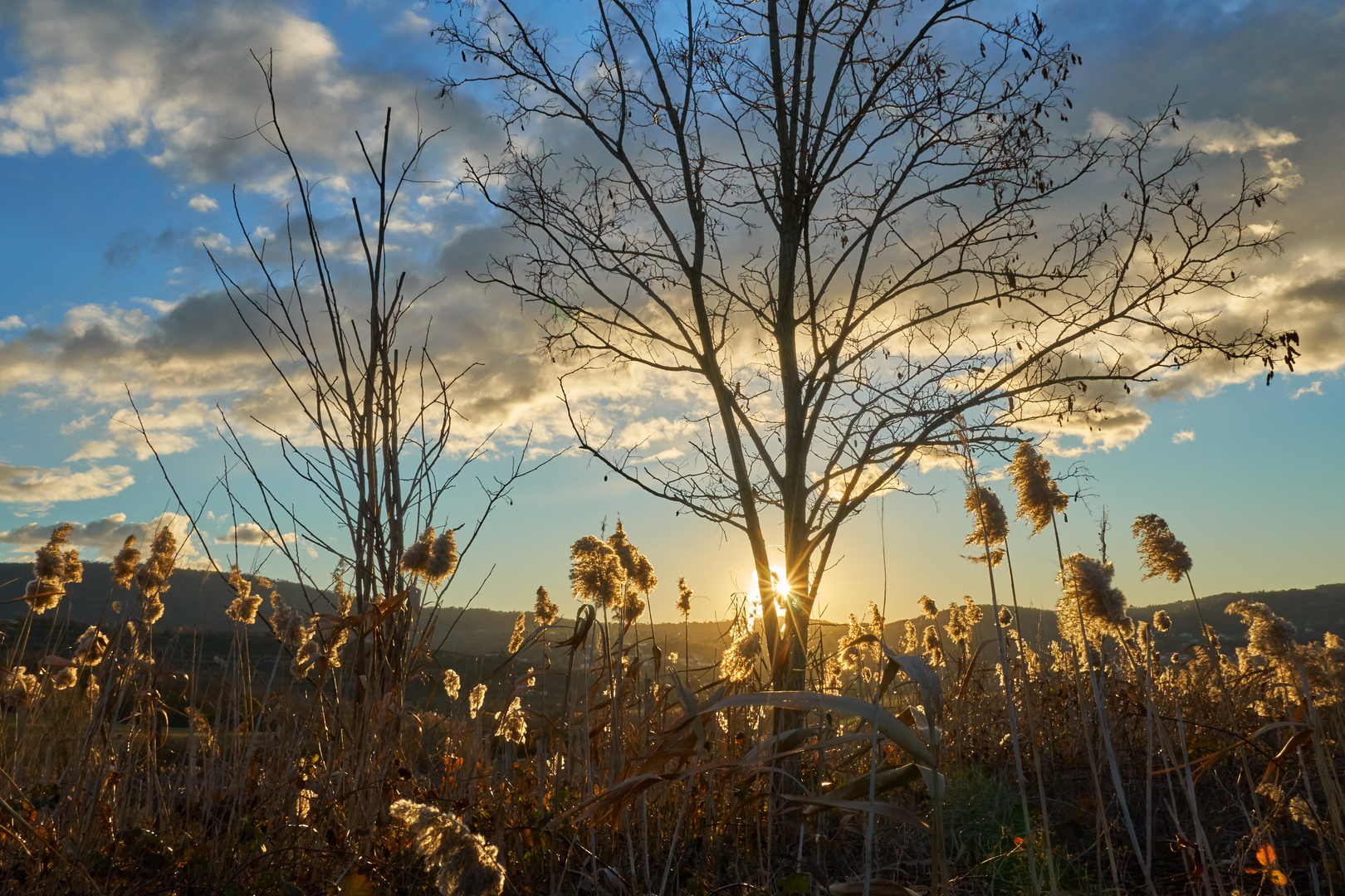 Abendstimmung