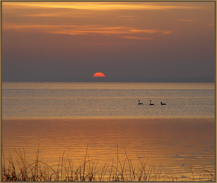 Abendstimmung