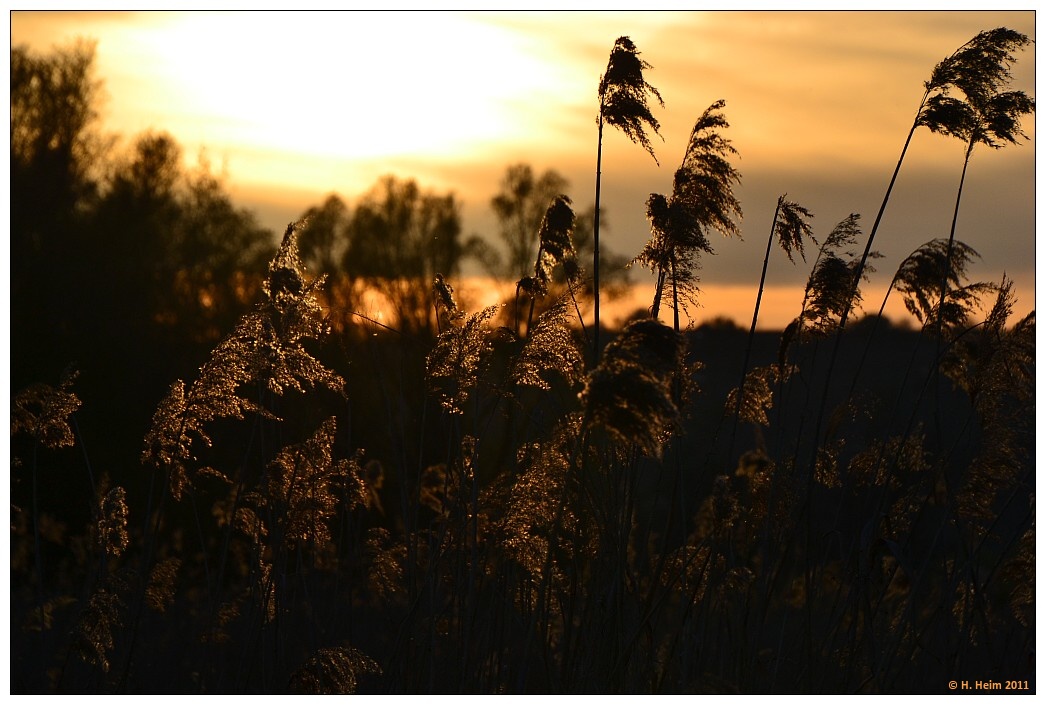 Abendstimmung