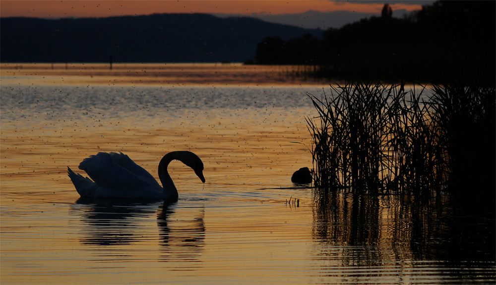 Abendstimmung