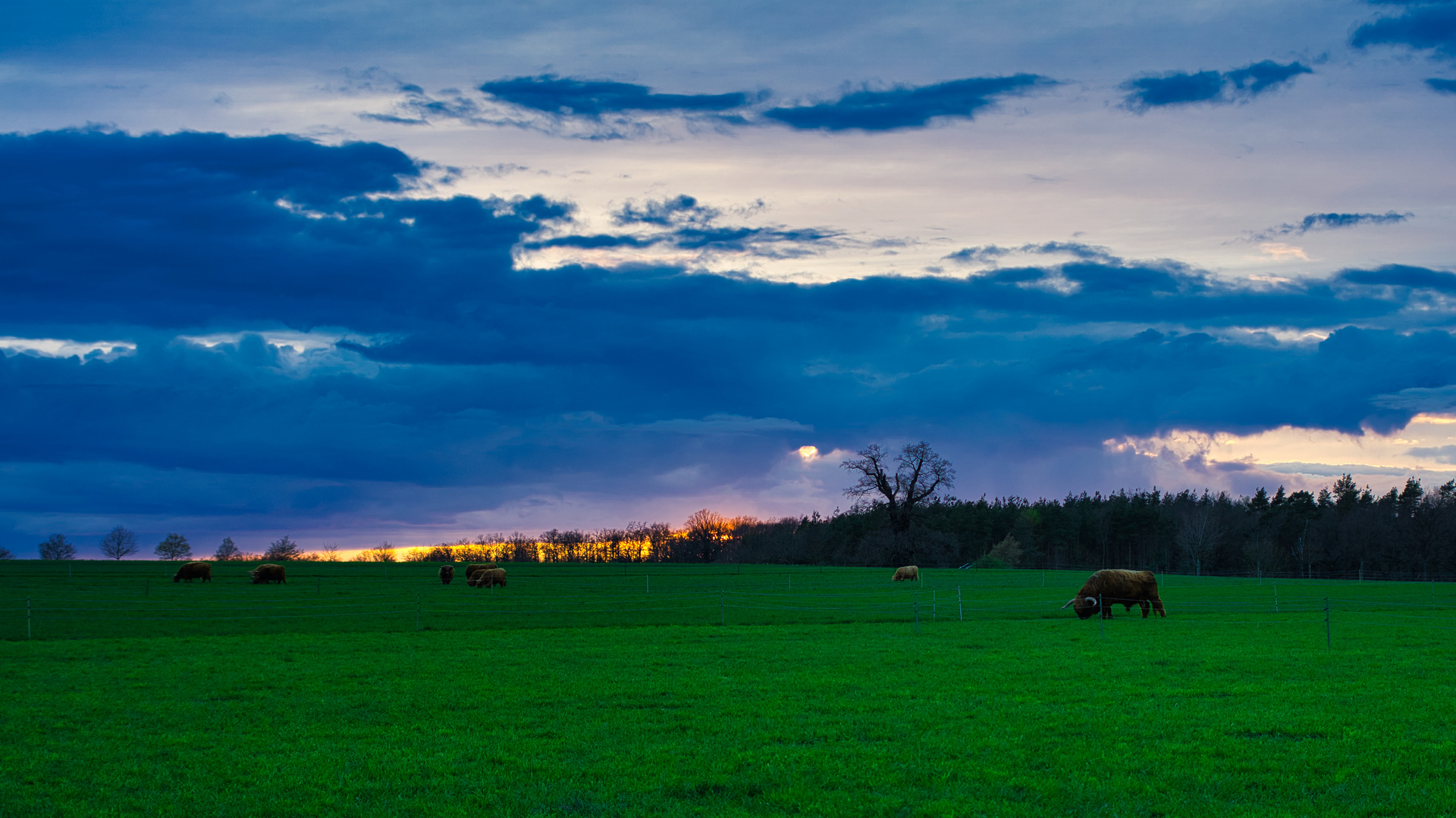 Abendstimmung