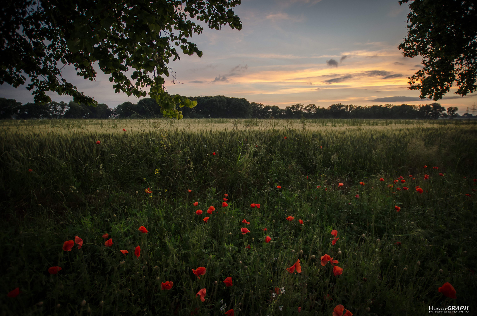 ...abendstimmung...