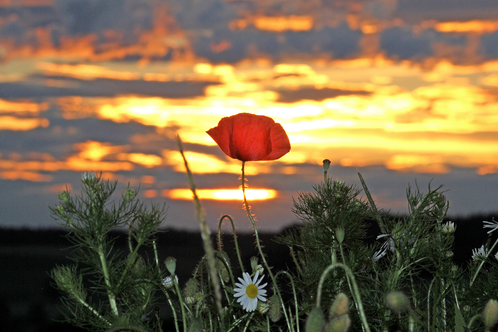 Abendstimmung