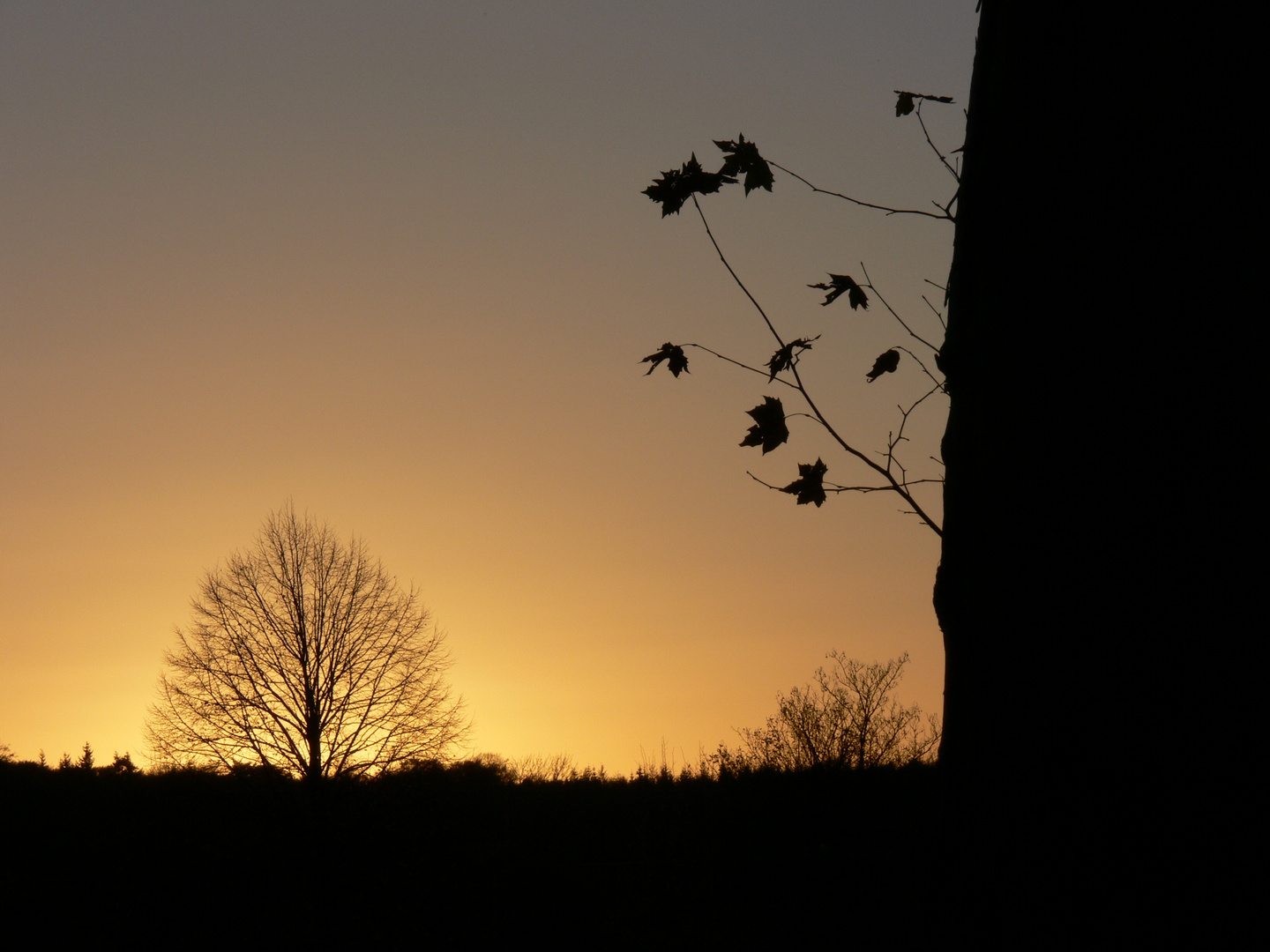 Abendstimmung