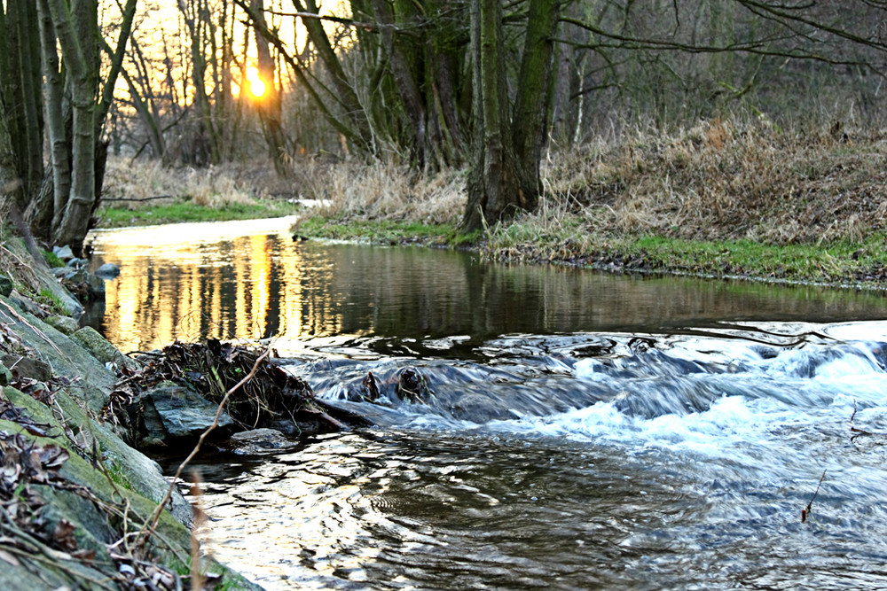 Abendstimmung