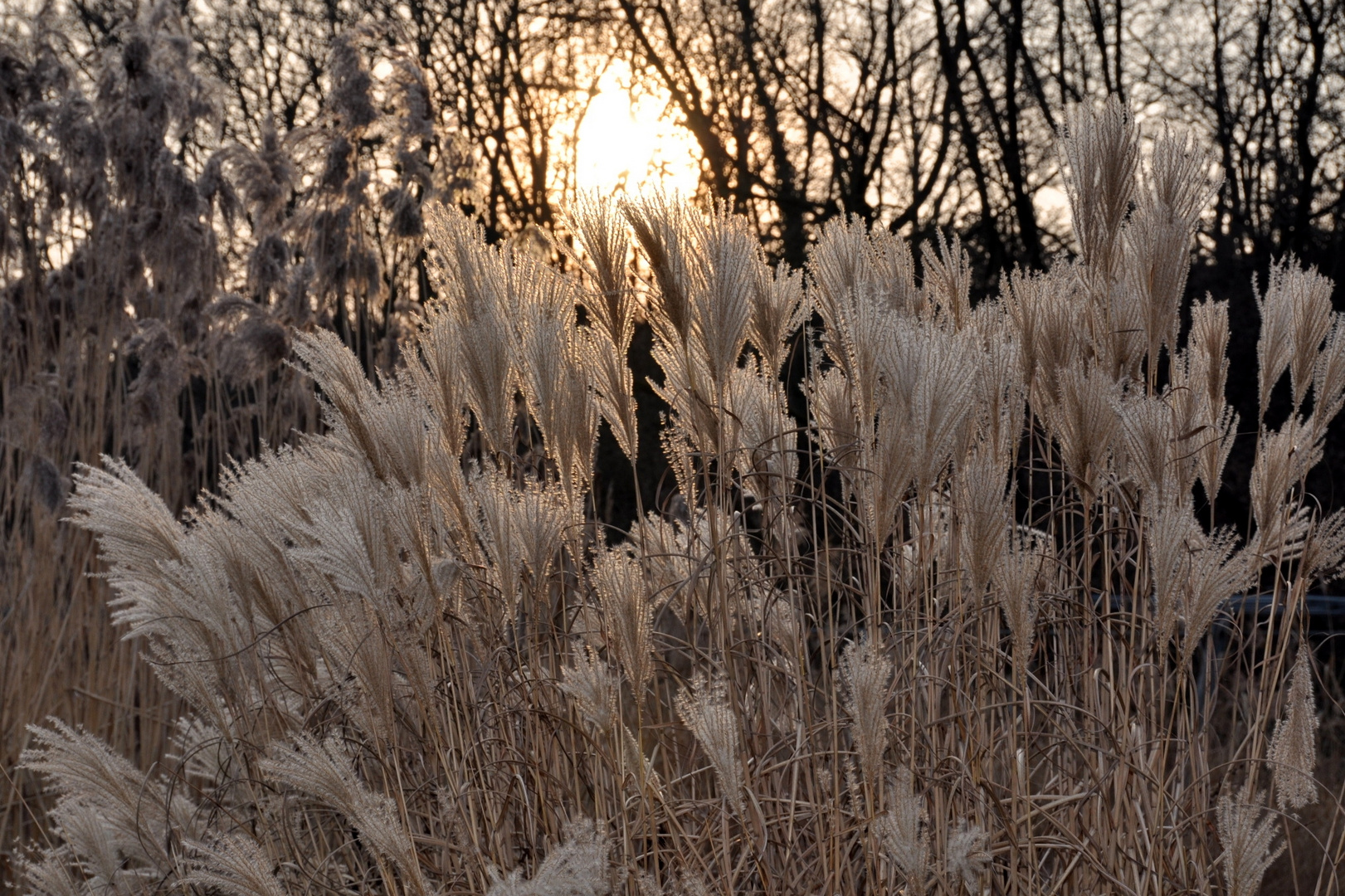 Abendstimmung