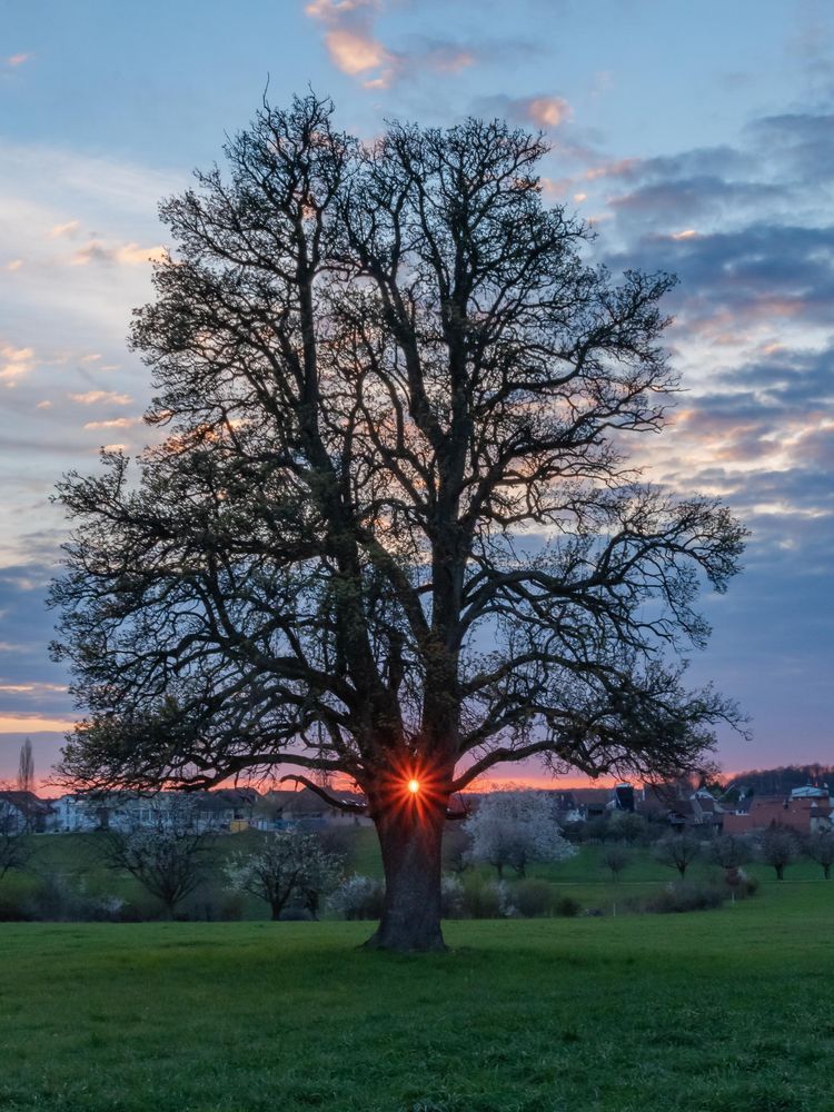 Abendstimmung