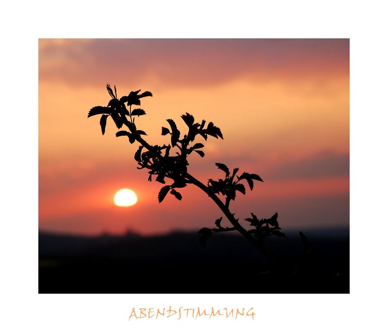 __ABENDSTIMMUNG__