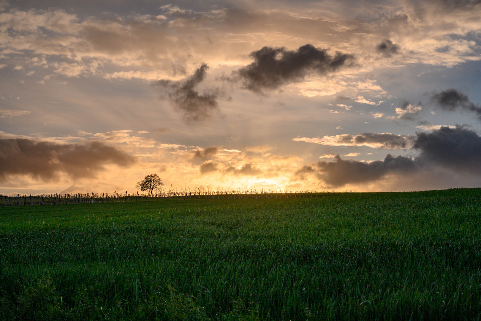 Abendstimmung