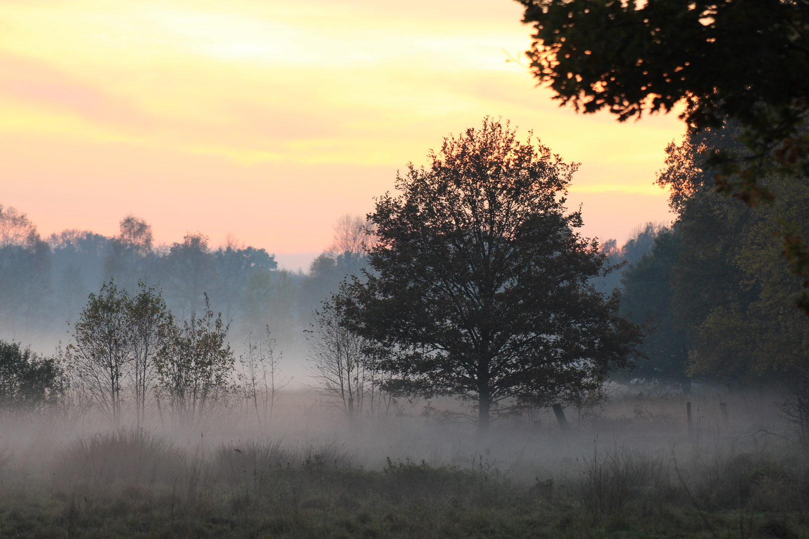 Abendstimmung