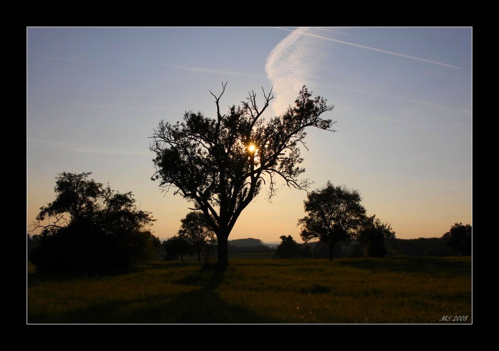 "Abendstimmung"