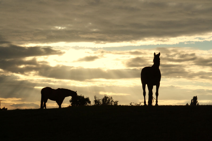 Abendstimmung