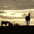 Abendstimmung