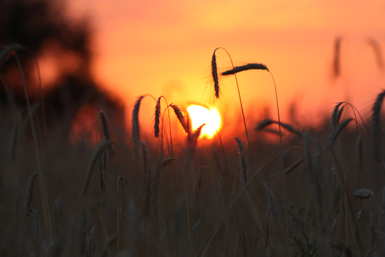 Abendstimmung