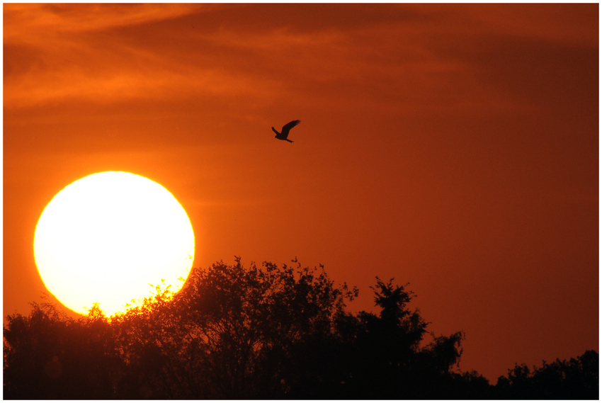 Abendstimmung