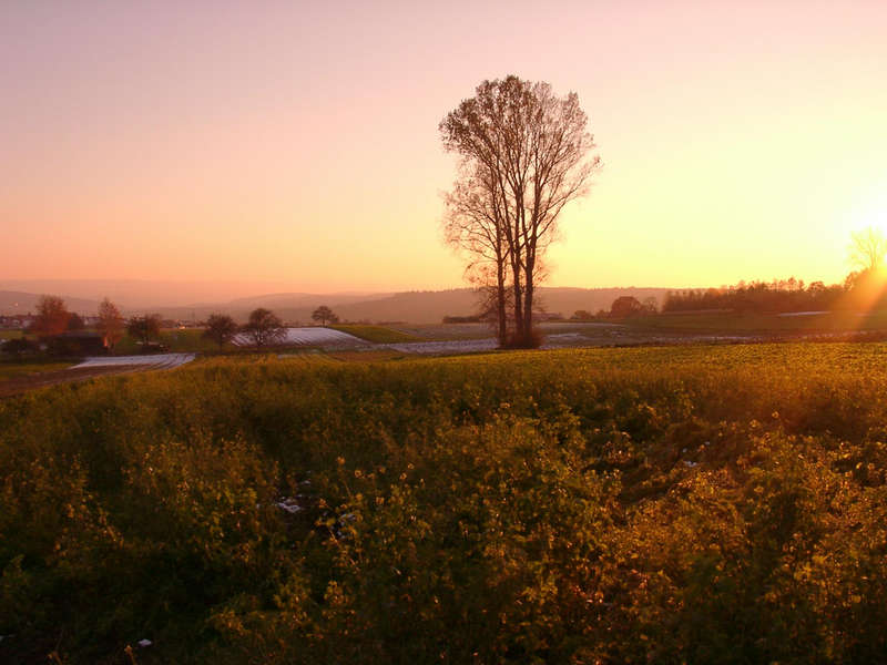 Abendstimmung