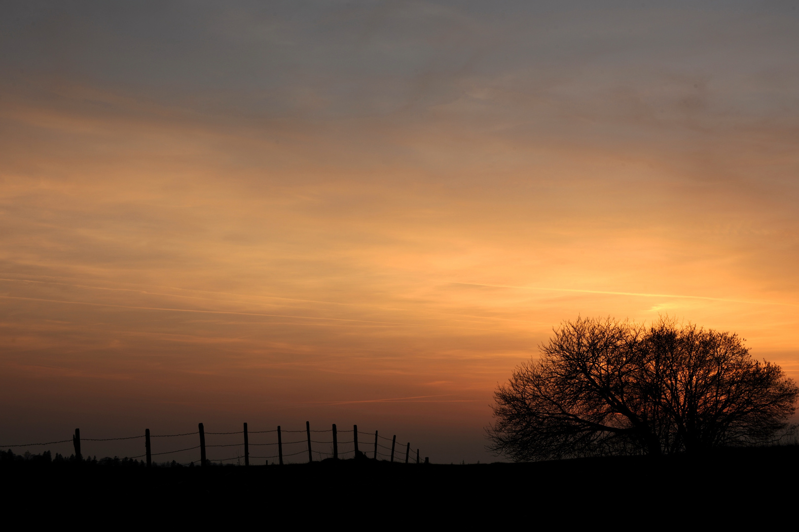 Abendstimmung