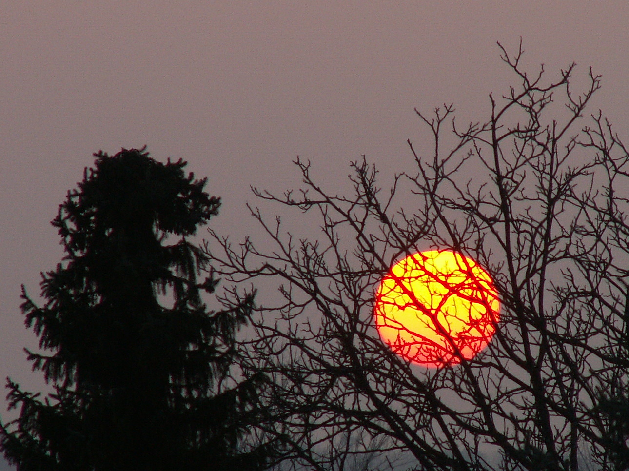 Abendstimmung