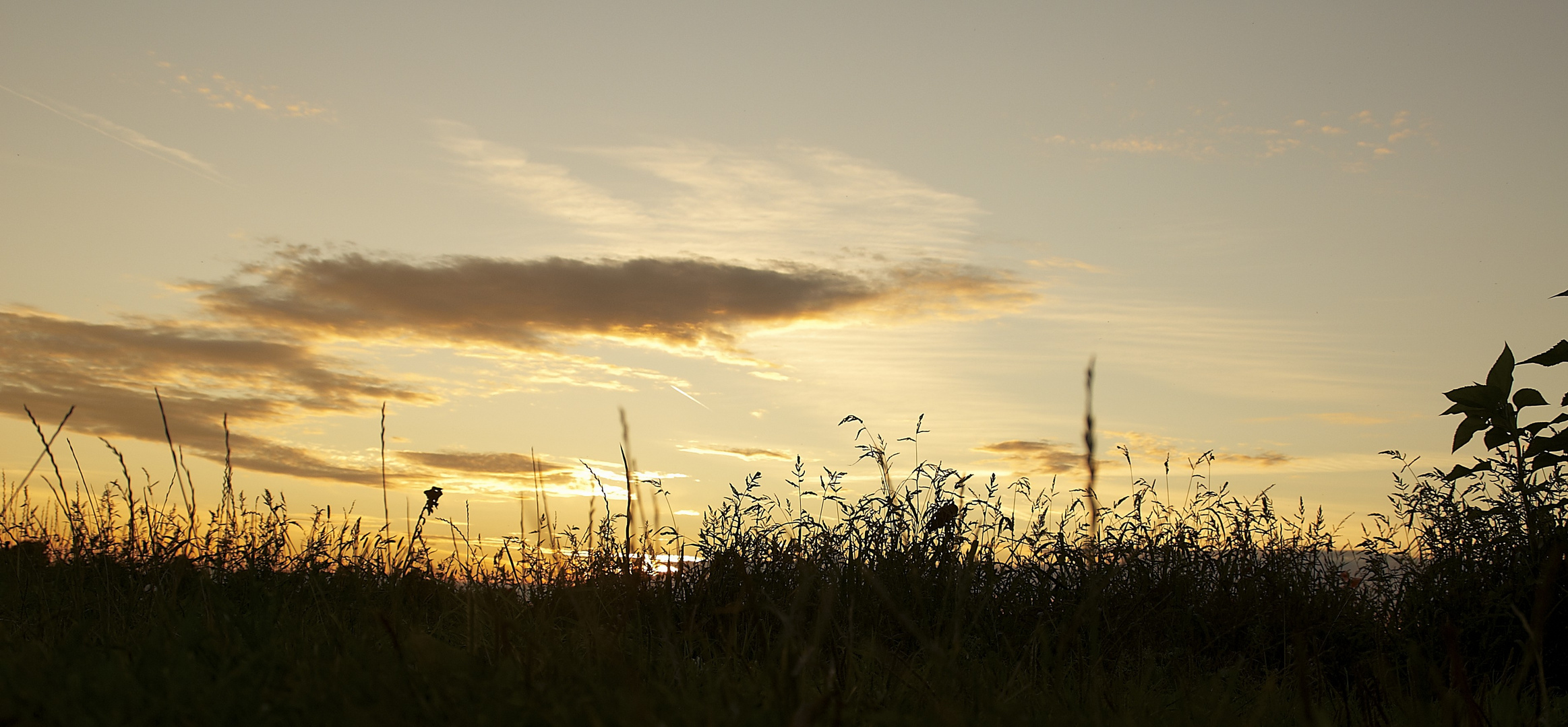 Abendstimmung