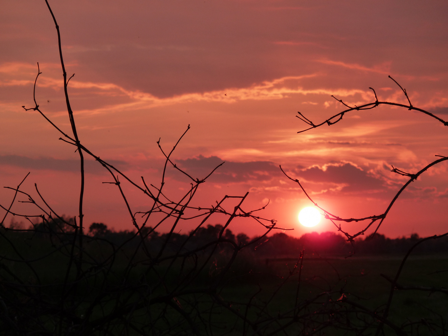 Abendstimmung