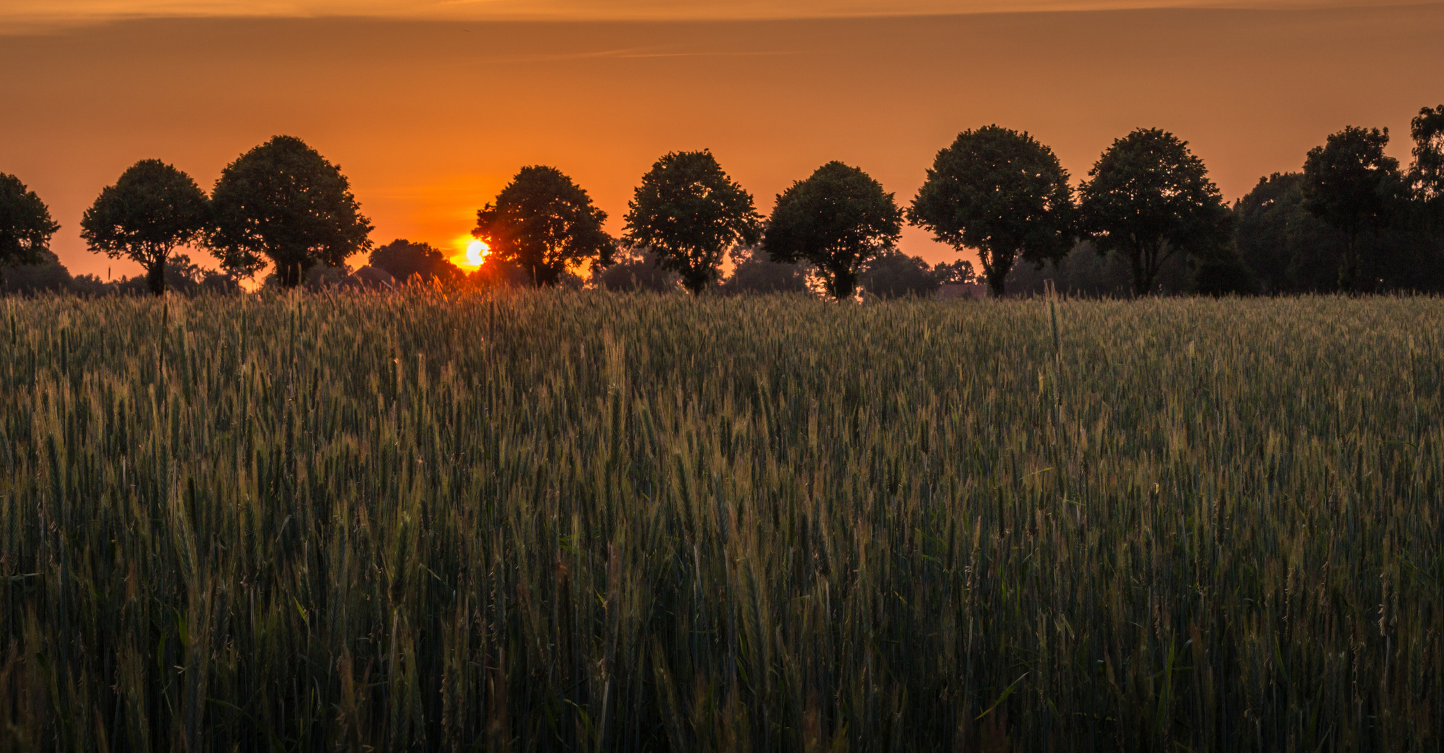 Abendstimmung