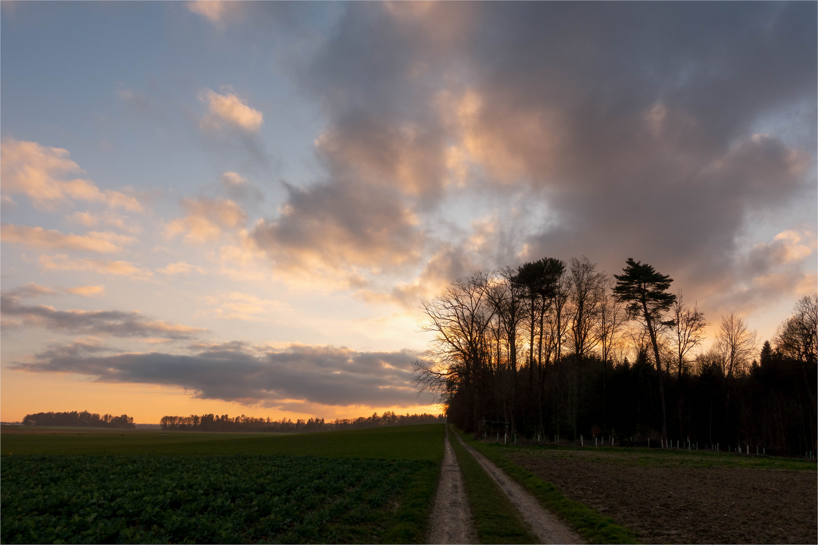 Abendstimmung