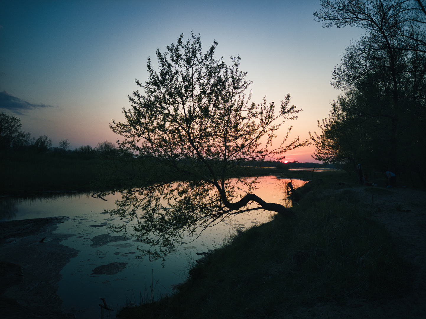 Abendstimmung