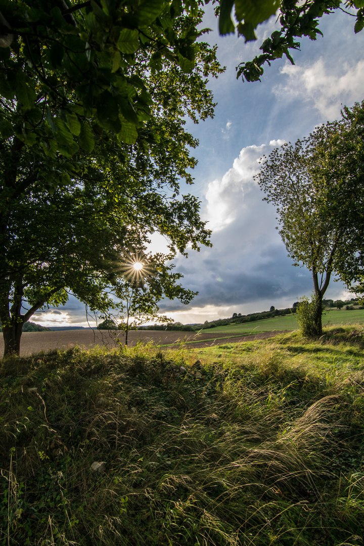 Abendstimmung