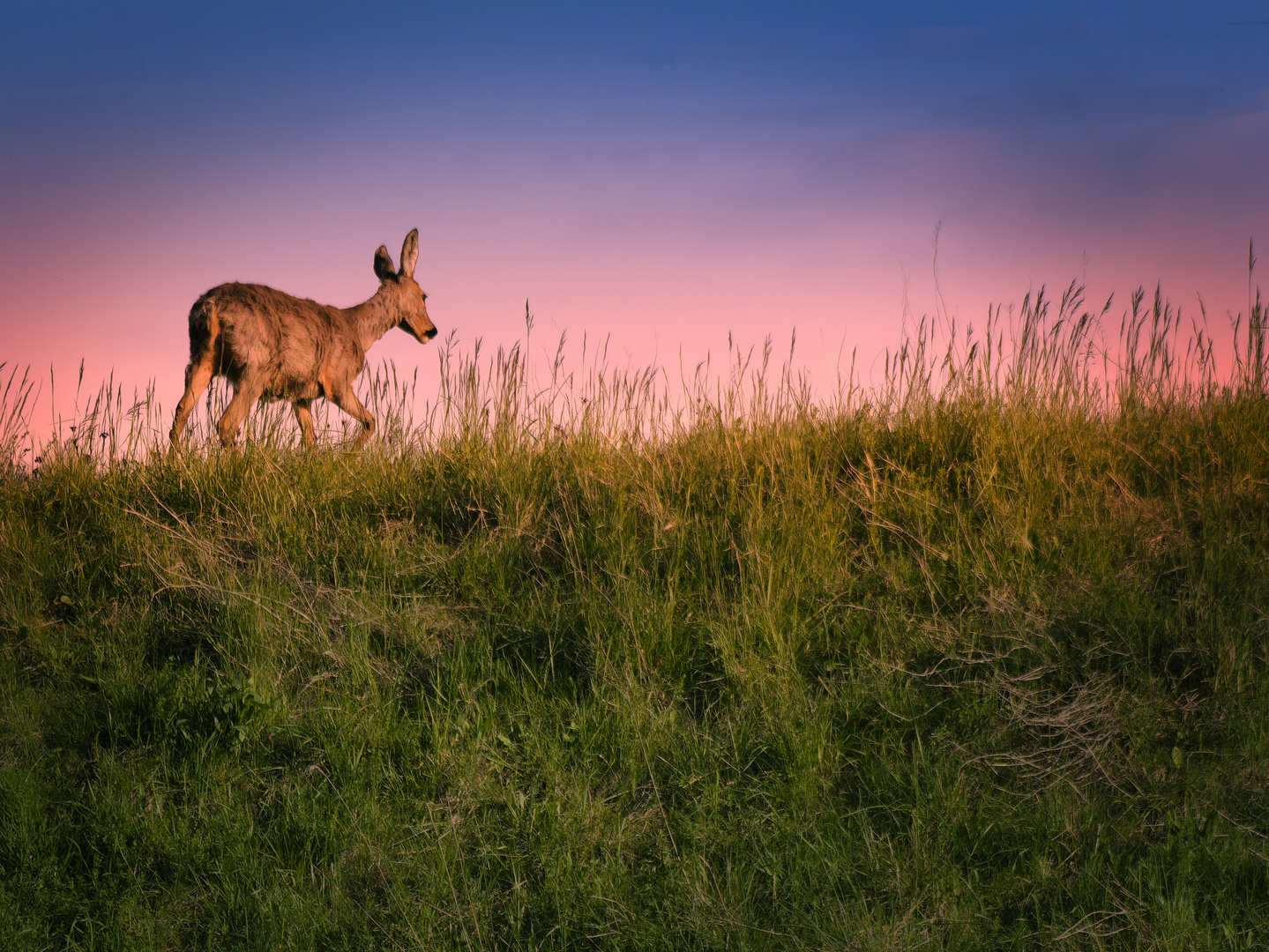 Abendstimmung