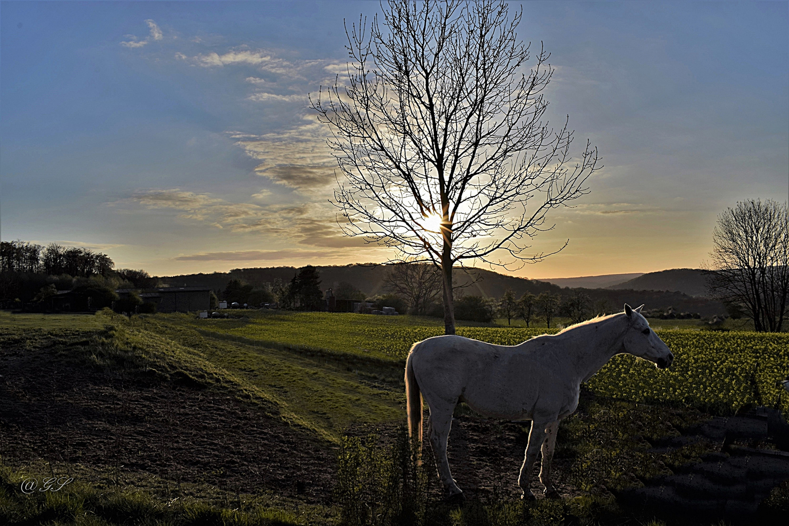 Abendstimmung