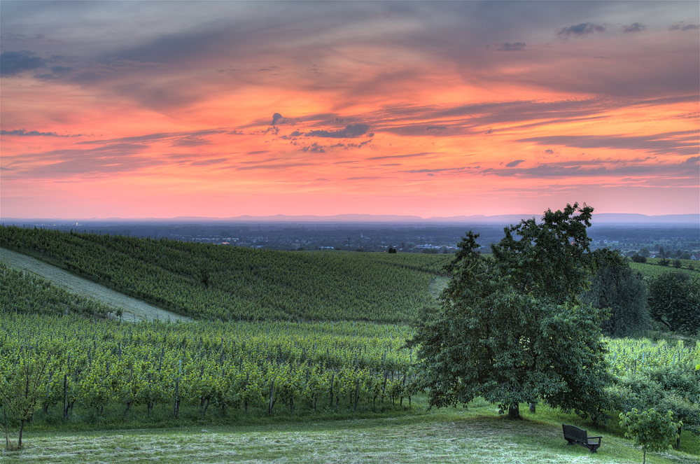 Abendstimmung