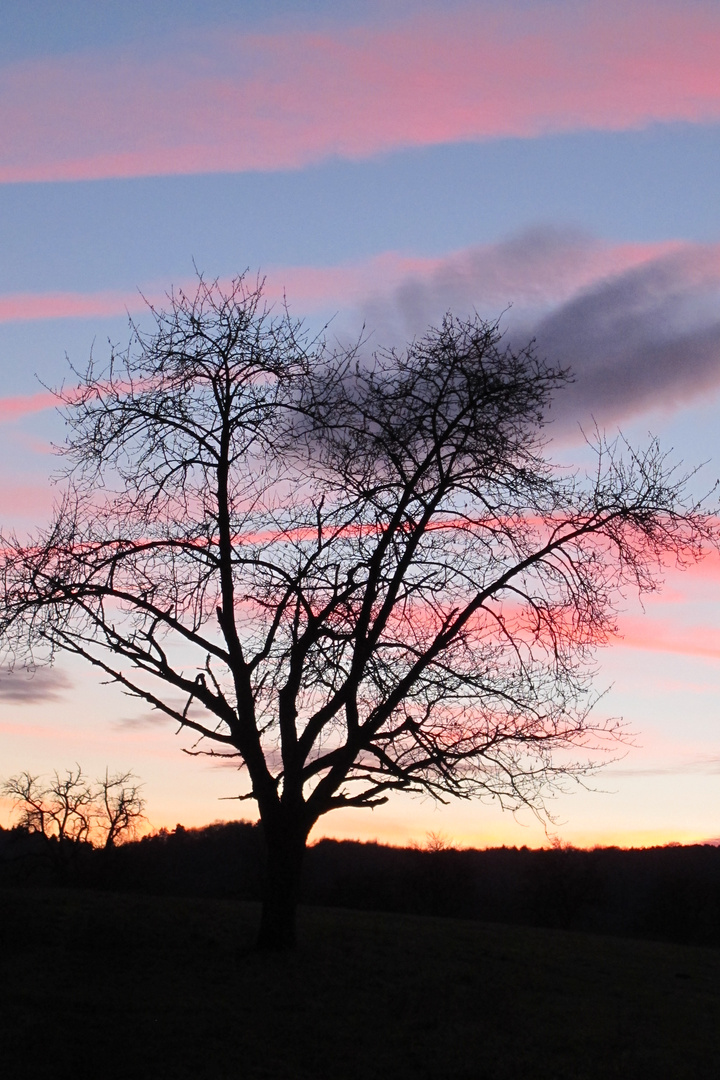 Abendstimmung