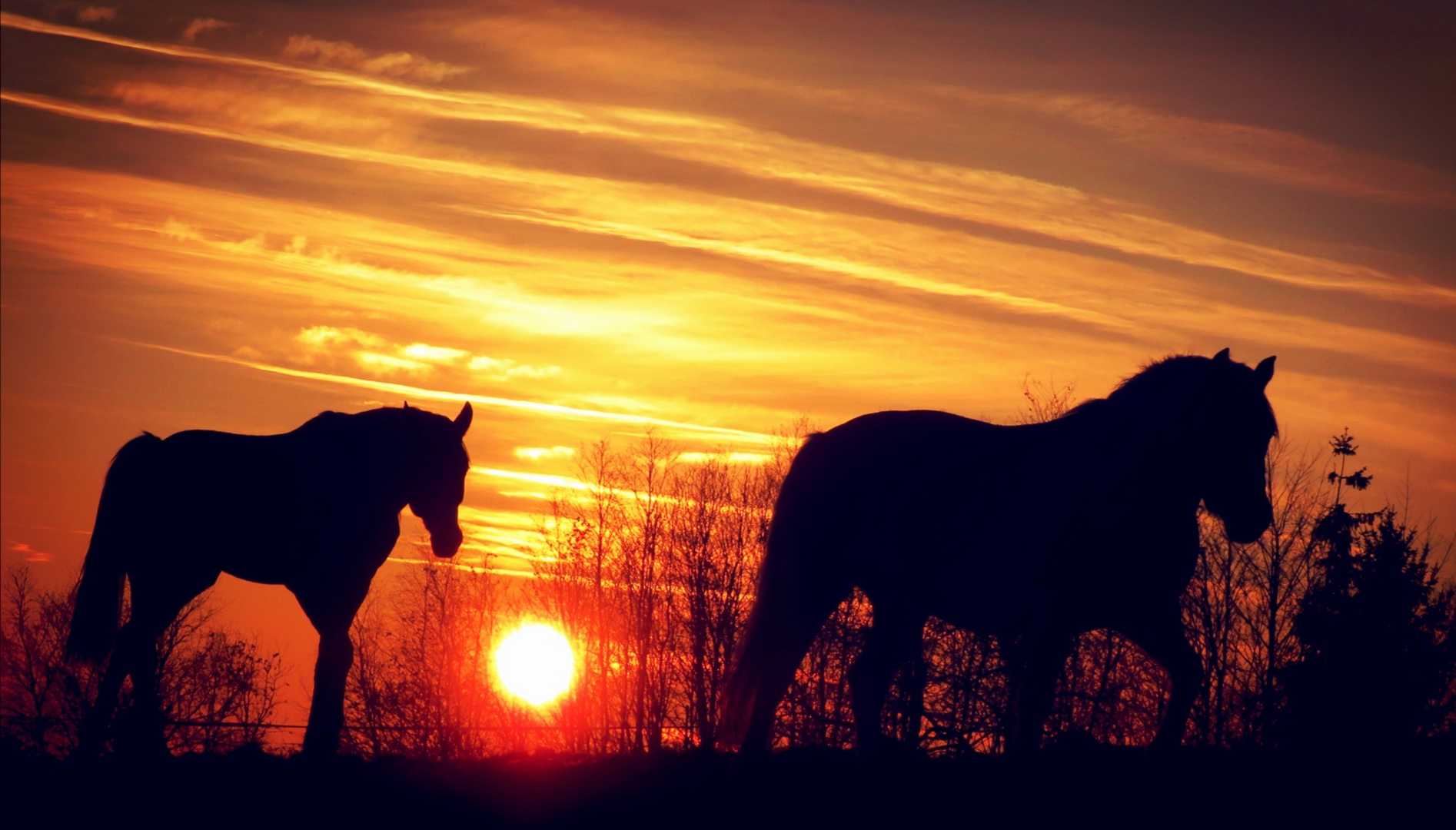 Abendstimmung