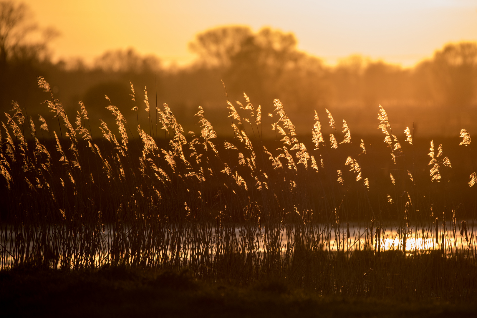 Abendstimmung