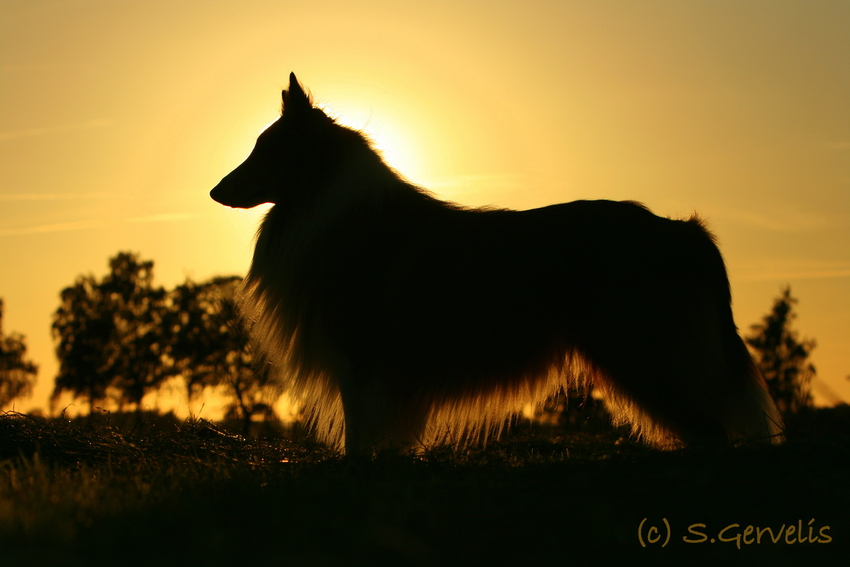 Abendstimmung