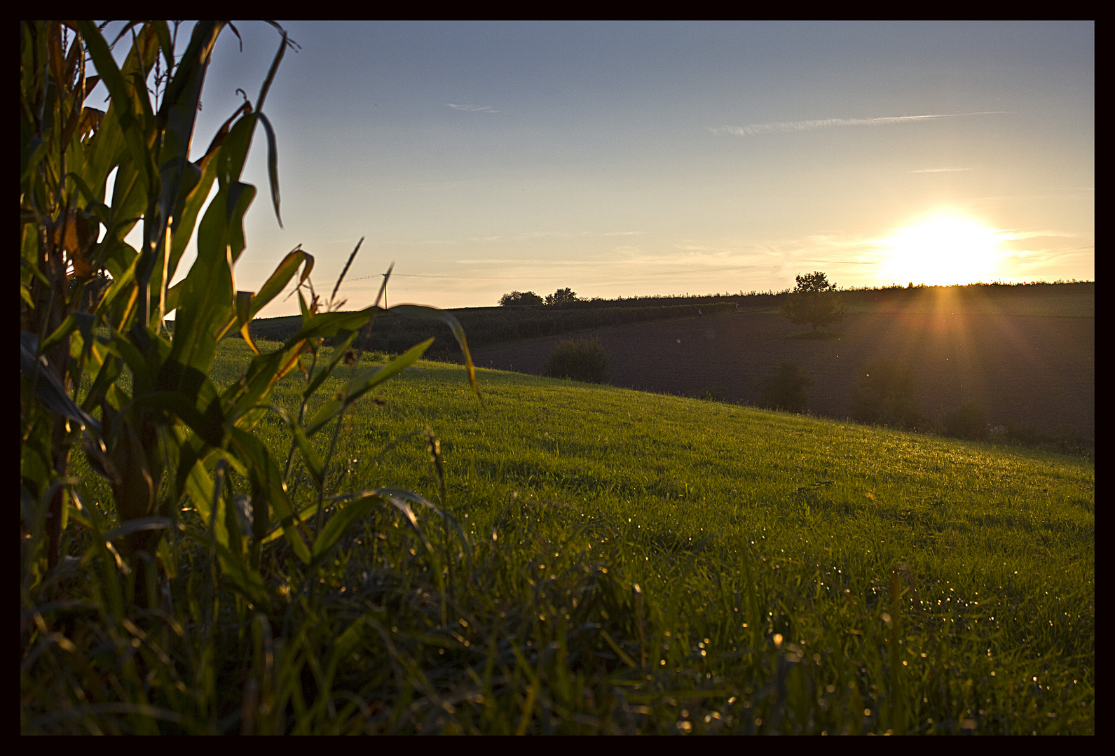 Abendstimmung