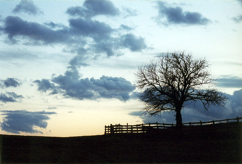 Abendstimmung