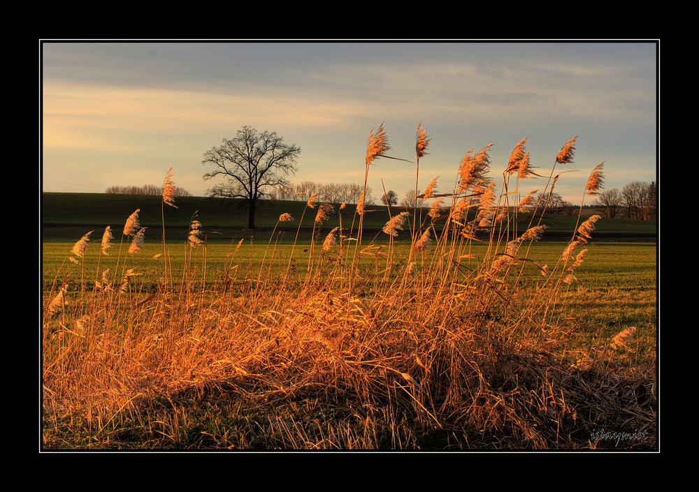 Abendstimmung