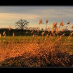 Abendstimmung